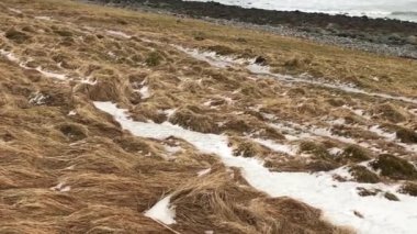 Eggum Borgen 'deki Pebble Plajı, Lofoten Adaları, Norveç. 