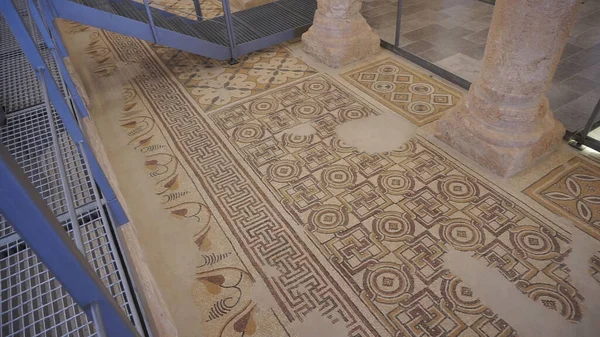 Detalles Del Mosaico Bizantino Capilla Montaña Nebo Jordania — Foto de Stock