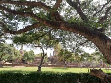 Wat Mahathat ya da Büyük Kalıntı Tapınağı, Ayutthaya, Tayland.