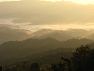 Huai Nam Dang Ulusal Parkı, Tayland 'daki muhteşem sis denizi..