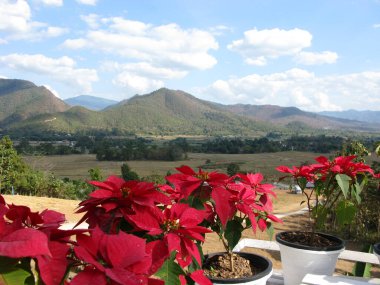Mae Hung Son 'un güzel manzarası, Tayland' ın kuzeyi.. 