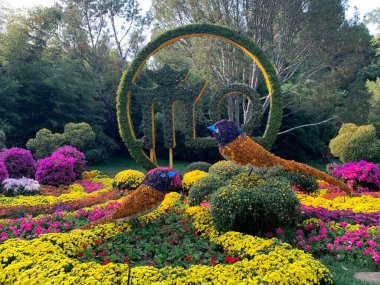 Pekin 'de güzel bir park ve bahçe.. 