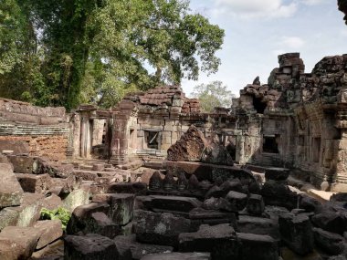Preah Khan Tapınağı, Angkor Tapınağı, Kamboçya.