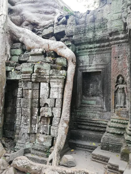 Prohm Jest Jedną Najbardziej Znanych Świątyń Angkor Znaną Drzew Rosnących — Zdjęcie stockowe