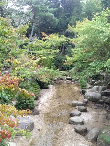 Jardim Tradicional Japonês Plantas Rochas Areia — Fotografia de Stock