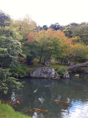 Arashiyama, Tenryu-ji Tapınağı 'nın en ünlü eğlencelerinden biri. Zen tapınağı. En iyi bahçelerden biri ve manzaralı dağ manzaralı..