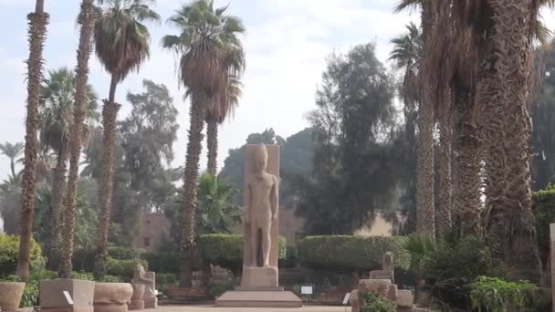 Статуя Рамсеса Музеї Просто Неба Мемфіса Єгипті Поза Лівою Ногою — стокове відео