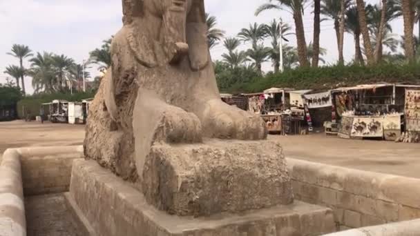 Sphinx Albâtre Dans Musée Plein Air Memphis Egypte — Video