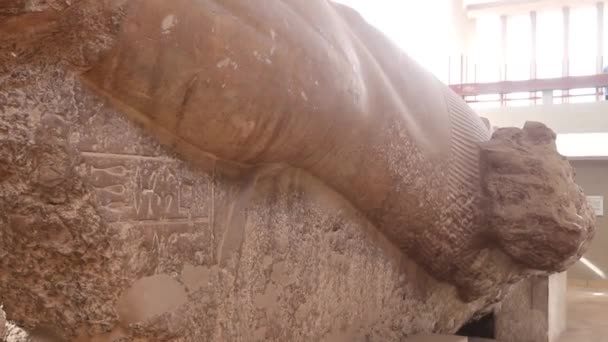 Estátua Maciça Ramsés Museu Livre Mênfis Egito — Vídeo de Stock