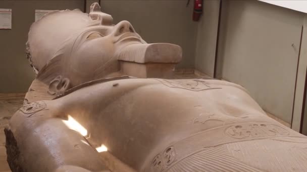 Het Massieve Standbeeld Van Ramses Het Openluchtmuseum Van Memphis Egypte — Stockvideo