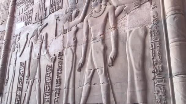 Храм Ком Омбо Асуані Єгипет — стокове відео