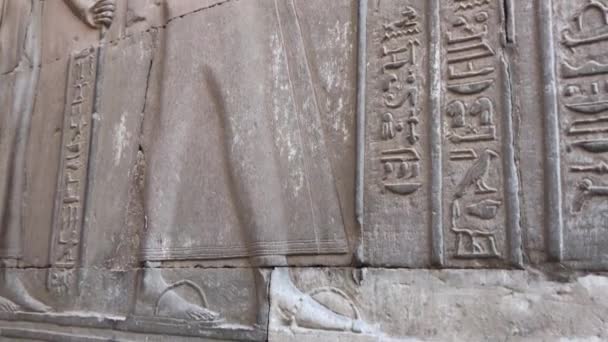 Templet Kom Ombo Aswan Egypten — Stockvideo