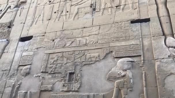 Tempel Van Kom Ombo Aswan Egypte — Stockvideo