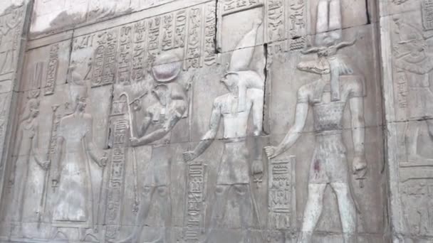 Sobek Alivio Templo Kom Ombo Egipto — Vídeos de Stock