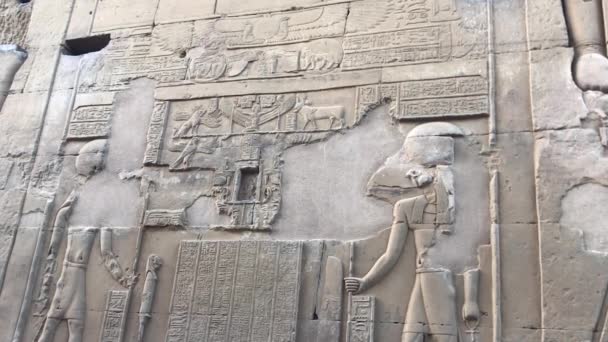 Relief Sobek Kuil Kom Ombo Mesir — Stok Video