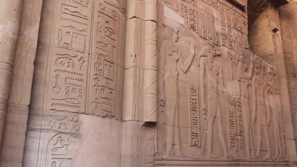 Mısır Daki Kom Ombo Tapınağında Sobek Rahatlaması — Stok video