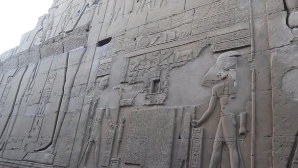 Sobek Relief Tempel Von Kom Ombo Ägypten — Stockvideo