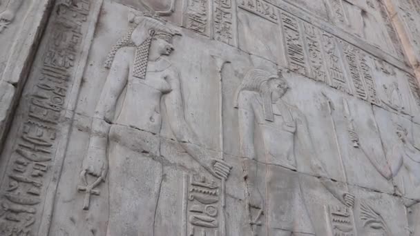 Sobek Relief Temple Kom Ombo Egypt — Stock Video