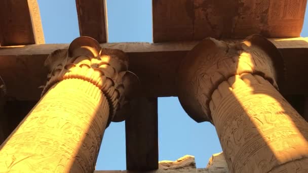 Сохранившиеся Колонна Потолок Форме Папируса Храме Ком Омбо Египет — стоковое видео