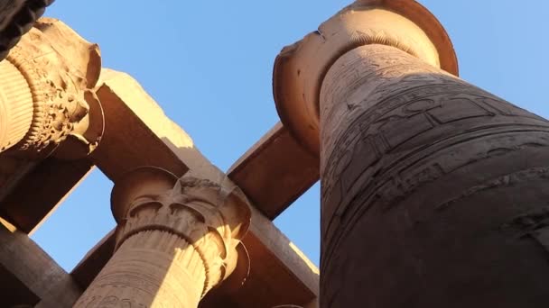 Mısır Daki Kom Ombo Tapınağı Nda Papirüs Şeklindeki Sütun Tavan — Stok video