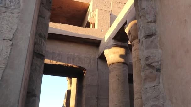 埃及Kom Ombo寺保存的纸莎草形立柱和天花板 — 图库视频影像