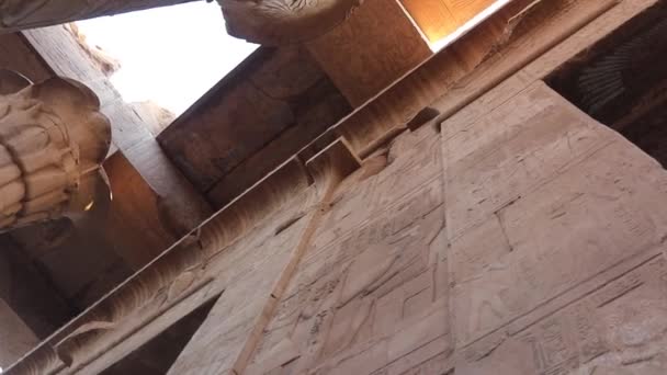 Сохранившиеся Колонна Потолок Форме Папируса Храме Ком Омбо Египет — стоковое видео
