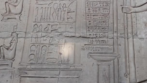 Relief Medical Instruments Kom Ombo Temple Egypt — Stock Video