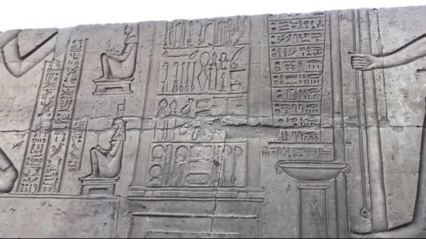 Звільнення Медичних Інструментів Храмі Ком Омбо Єгипет — стокове відео