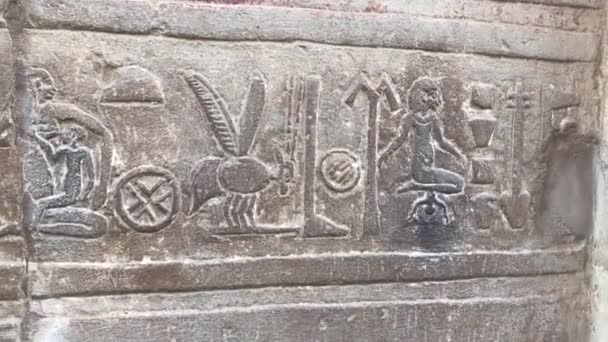 Стародавній Унікальний Рельєф Храмі Ком Омбо Єгипет — стокове відео