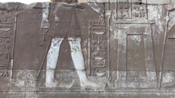 Antico Rilievo Unico Tempio Kom Ombo Egitto — Video Stock