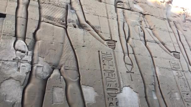 Стародавній Унікальний Рельєф Храмі Ком Омбо Єгипет — стокове відео