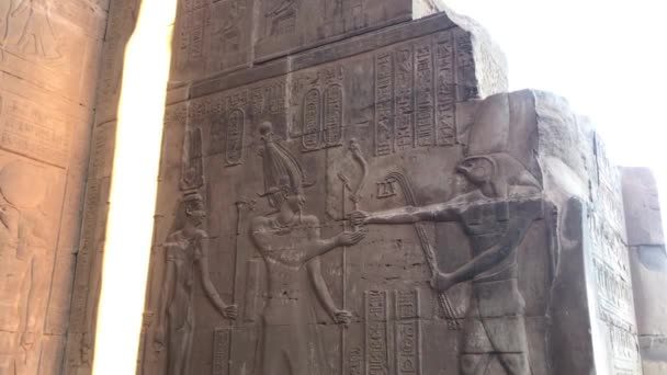 Starověké Unikátní Reliéf Chrámu Kom Ombo Egypt — Stock video