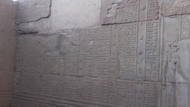 Uma Seção Calendário Hieroglífico Templo Kom Ombo — Vídeo de Stock