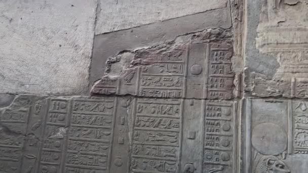 Ein Ausschnitt Des Hieroglyphen Kalenders Kom Ombo Tempel — Stockvideo
