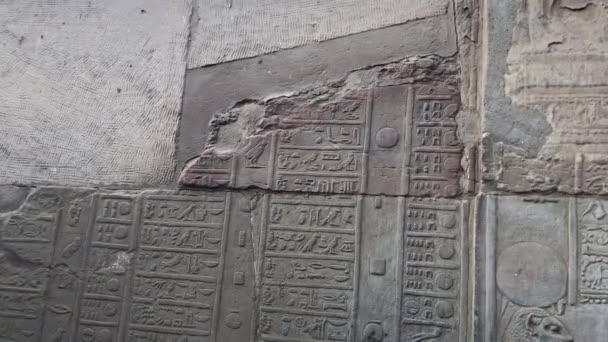 Del Hieroglyfisk Kalender Kom Ombo Templet — Stockvideo