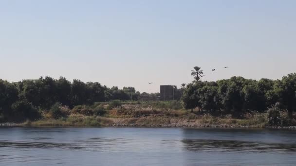 Rejs Rzeką Nilu Egipcie — Wideo stockowe
