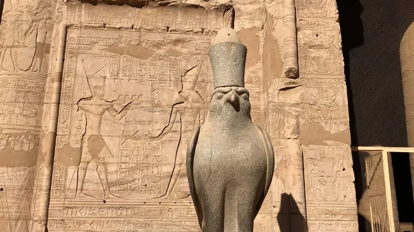 Ancienne Statue Égyptienne Granit Dieu Tête Faucon Temple Edfu Égypte — Photo