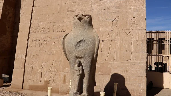 Antigua Estatua Granito Egipcio Del Halcón Dirigió Dios Templo Edfu —  Fotos de Stock
