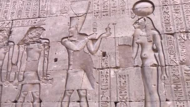 Relieves Las Paredes Del Templo Edfu Egipto — Vídeo de stock