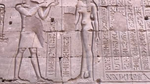 Reliefs Walls Temple Edfu Egypt — Stock Video