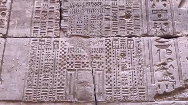 Reliëfs Muren Van Tempel Van Edfu Egypte — Stockvideo