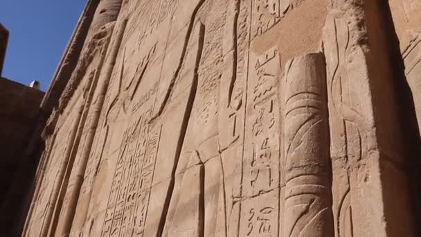 Рельєфи Стінах Храму Едфу Єгипет — стокове відео