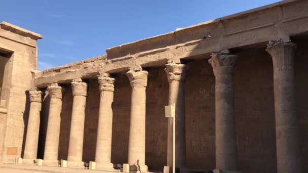 Templo Edfu Templo Horus Egipto — Vídeo de stock