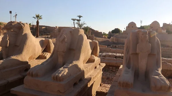 Ram Headed Sphinx Και Μικρή Φιγούρα Του Nefertari Στο Ναό — Φωτογραφία Αρχείου
