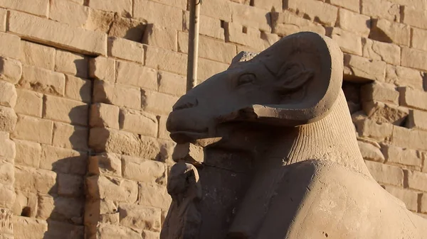 エジプト カルナック神殿のネフェルタリのラム ヘッド スフィンクスと小像 — ストック写真