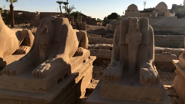 Рам Хед Сфинкс Маленькая Фигурка Нефертари Храме Карнак Египет — стоковое фото