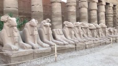 Koç başlı Sfenks ve Mısır 'daki Karnak Tapınağı' nda Nefertari 'nin küçük figürü..   