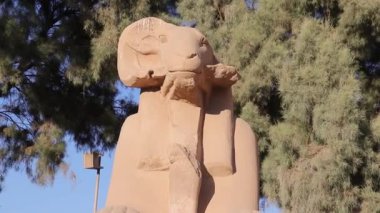 Koç başlı Sfenks ve Mısır 'daki Karnak Tapınağı' nda Nefertari 'nin küçük figürü..   
