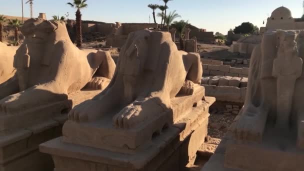 Esfinge Cabeza Carnero Pequeña Figura Nefertari Templo Karnak Egipto — Vídeo de stock
