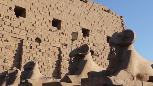 埃及卡尔纳克寺的Ram Headed Sphinx和小的Nefertari人 — 图库视频影像